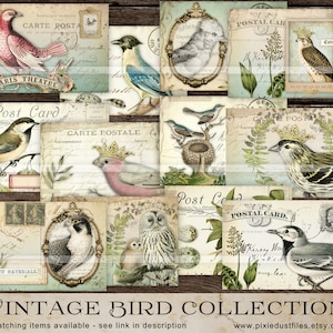 Birds junk journal printable kit, Vintage Bird images, journaling tags, ephemera digital download, collage sheet, antique bird postcards, VB