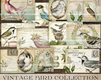 Birds junk journal printable kit, Vintage Bird images, journaling tags, ephemera digital download, collage sheet, antique bird postcards, VB