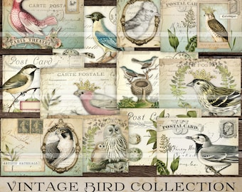 Vintage Birds Junk Journal Digi Kit, Collage Sheets, DIGITAL DOWNLOAD, Printable Ephemera, Postcards, Vintage Bird Papers, Scrapbooking