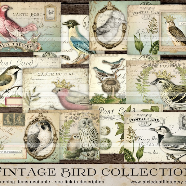 Birds junk journal printable kit, Vintage Bird images, journaling tags, ephemera digital download, collage sheet, antique bird postcards, VB