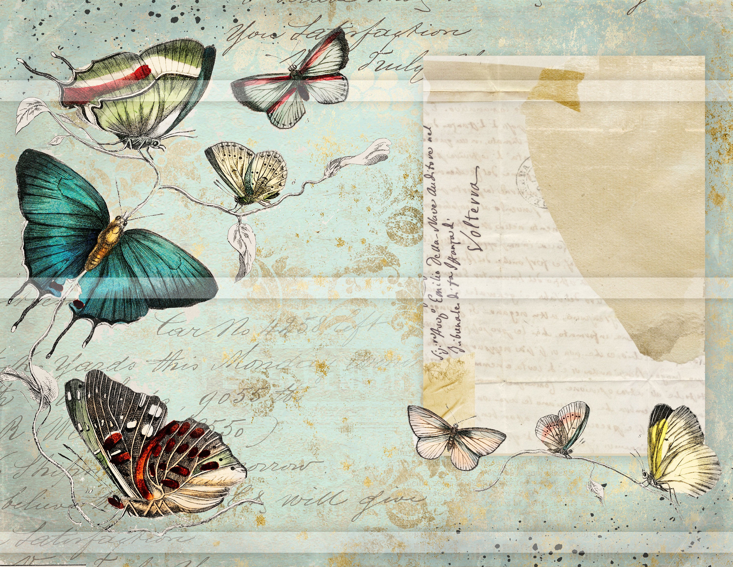 Butterfly Junk Journal Pages, Printable Papers, Vintage Butterflies ...
