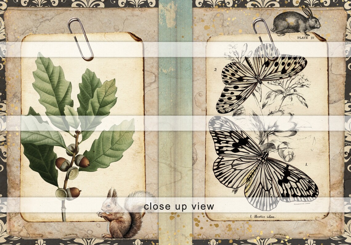 Woodland Forest Junk Journal Printable Kit Vintage Paper Pages Digital ...