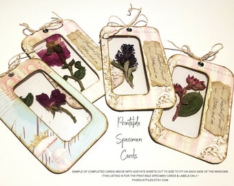 printable specimen slide cards for junk journals, scrapbooking, digital collage sheet, pressed flowers display journaling cards ephemera kit