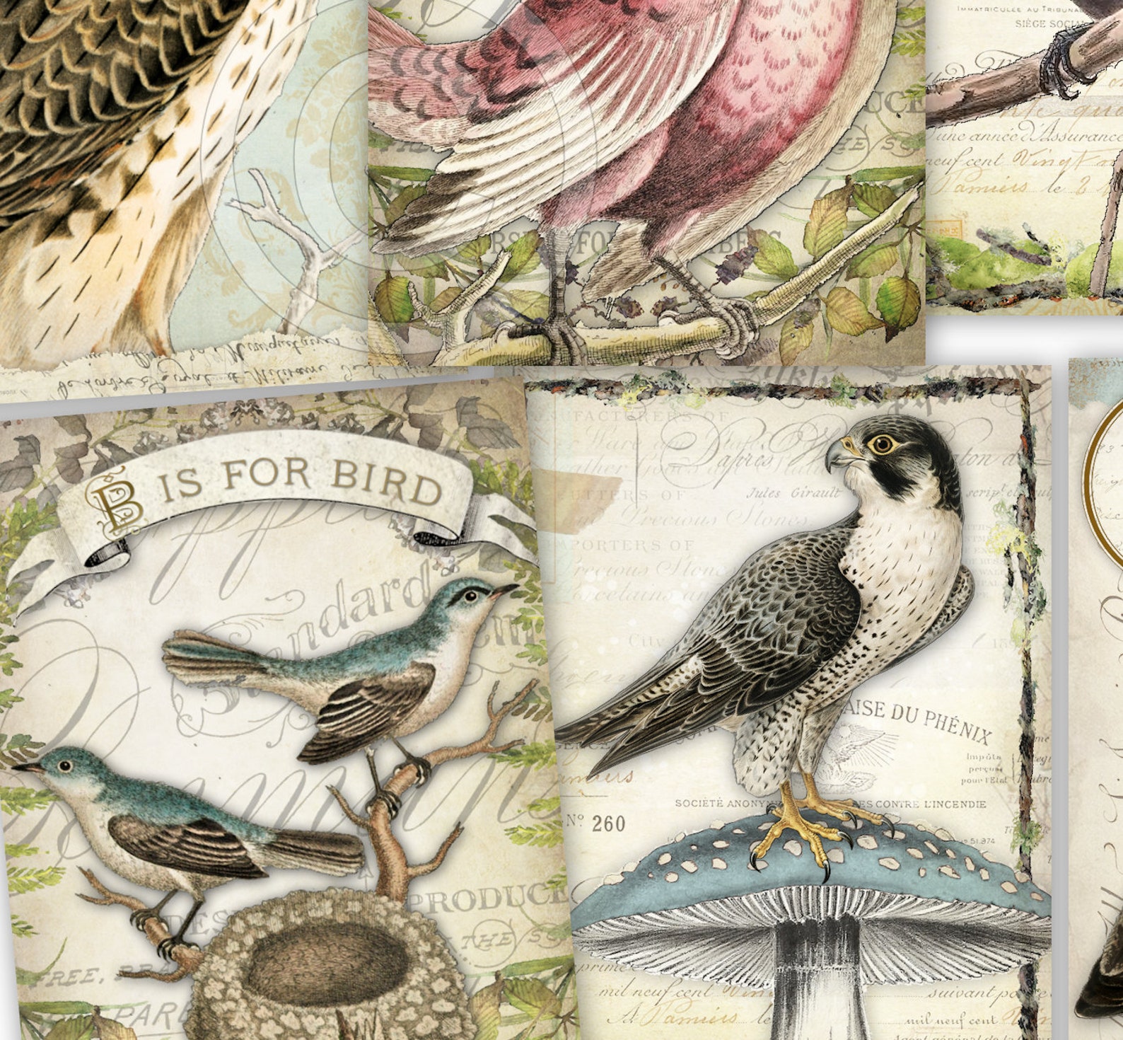 Vintage Birds Ephemera Cards Printable Junk Journal Ephemera Etsy