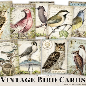 Cartões de coisas efêmeras de pássaros vintage, pacote de coisas efêmeras para impressão no diário, cartões de registro no diário, atc, folha de colagem, papel digital, suprimentos de registro no diário