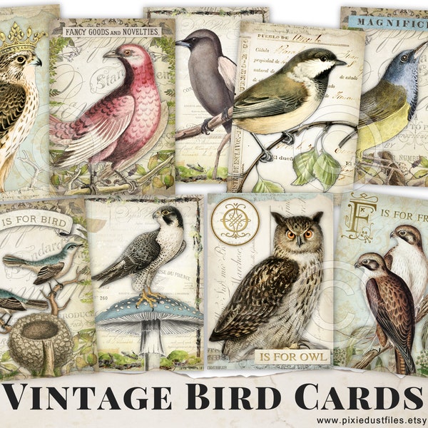 Vintage Birds Ephemera Cards, Printable Junk Journal Ephemera Pack, journaling cards, atc, collage sheet, digital paper, journaling supplies