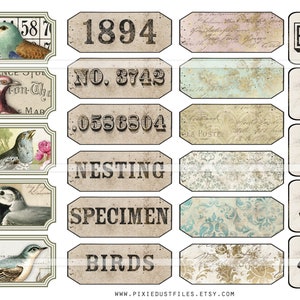 Bird Junk Journal Printable Kit, Vintage Bird Nest Images, Digital ...