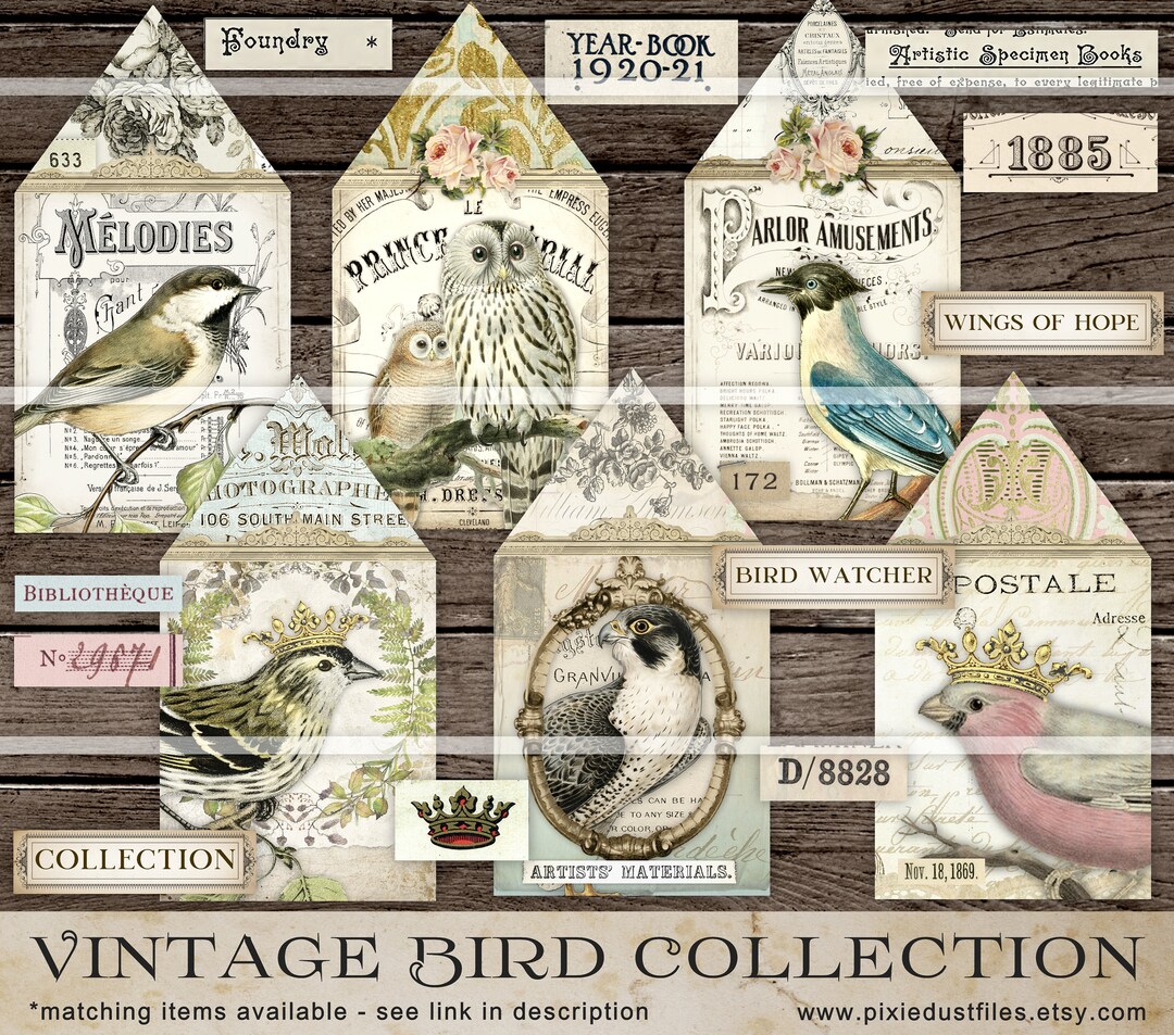 Vintage Birds Junk Journal Printable Collage Sheet, Bird Houses, Bird ...