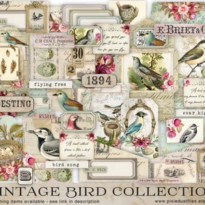 Kit imprimable de journal de rebut d'oiseau, images vintages de nid d'oiseau, téléchargement numérique, feuille de collage, étiquettes de journalisation, poches, kit de papier, ephemera vb