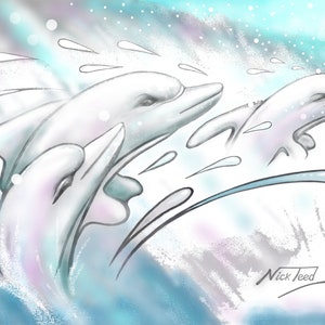 Dolphin Collection No 2