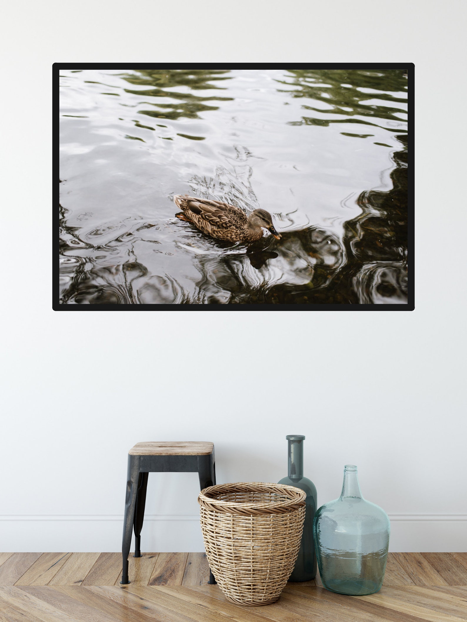 Duck Animal Gallery Wall Fine Art Photograph Wall Decor for | Etsy