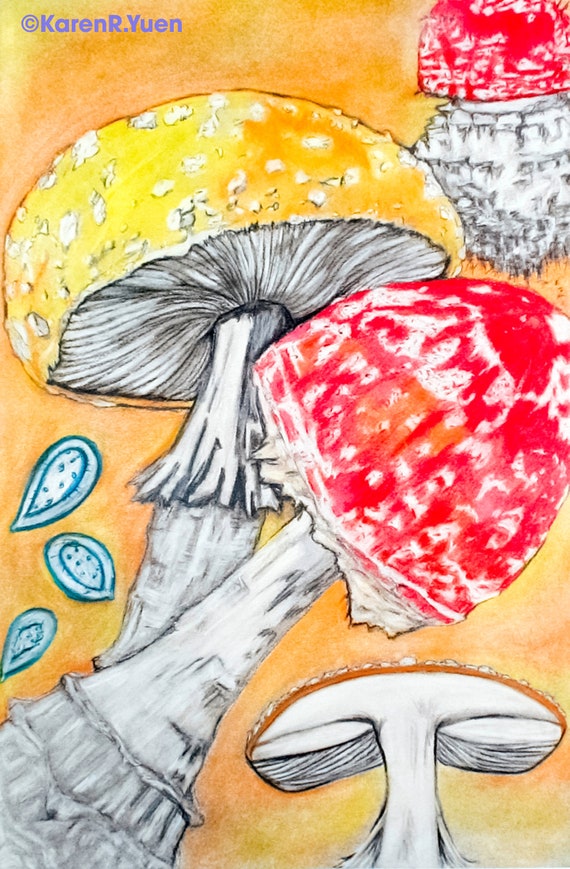download amanita design botanicula for free download amanita design botanicula for free