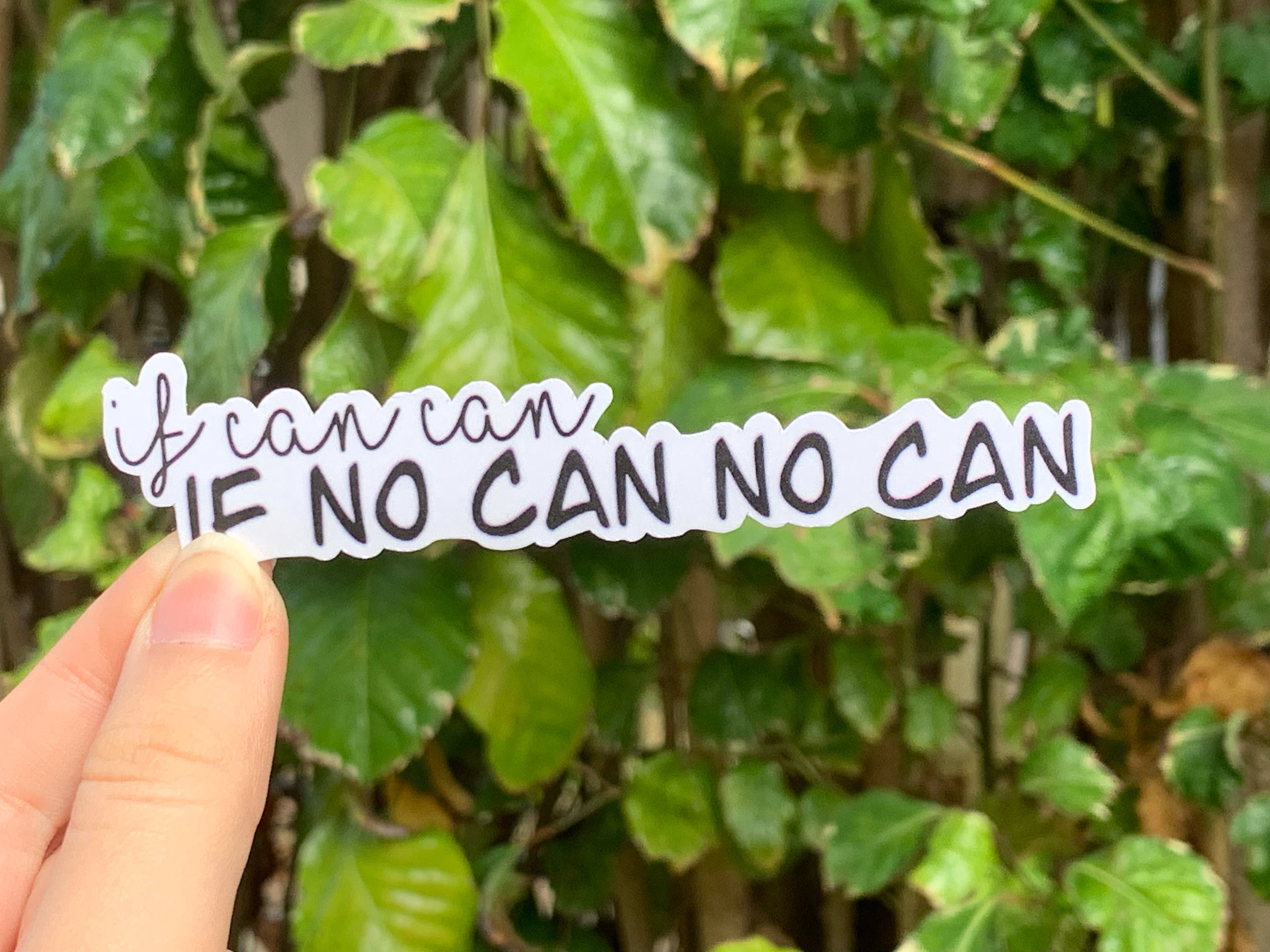If Can Can If No Can No Can Meaning