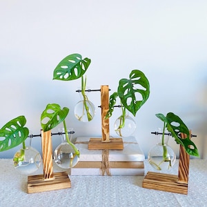 Plant Propagation Station | Glass Hydroponic Houseplant Stand | Desktop Propagation Station | Plant Lovers Gifts | Home Decor Plant Gifts