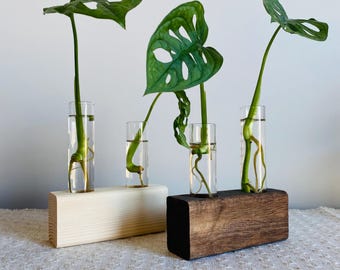 Plant Propagation Station with Glass Tubes & Wood Stand | Plant Gifts | Plant Themed Gifts | Plant Propagation Stand Gift | Hydroponic Setup