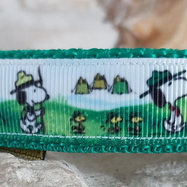 3/4" Scout Beagle collars, harnesses, lanyard and leashes - this ones for small dogs, puppies, and cats.