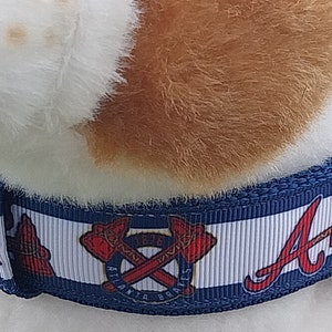 Baseball Fans - Design inspired by the Braves Pet Collars, Harnesses, and Leashes - Made in USA,