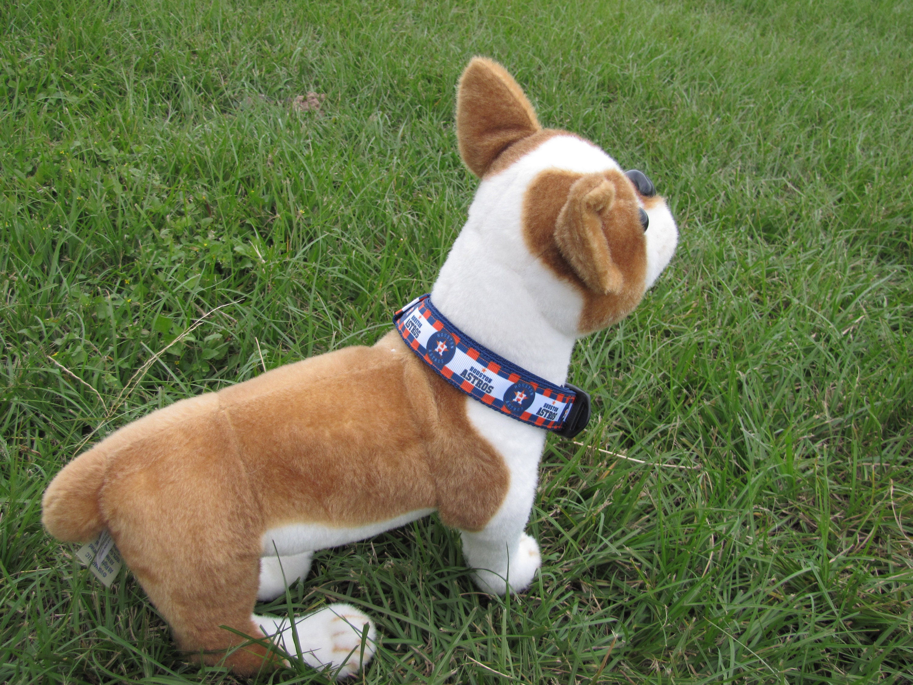 Houston astros sales pet gear