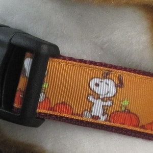 Könnte beinhalten: Ein braunes und burgunderfarbenes Hundehalsband mit einem sich wiederholenden Muster aus weißen Peanuts-Cartoonfiguren, Kürbissen und grünen Stielen. Das Halsband hat eine schwarze Kunststoffschnalle.