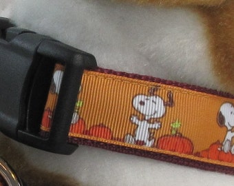 Collar, arnés y correa para perro con diseño de beagle en un campo de calabazas - Hecho en EE. UU.
