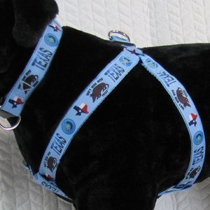 Non scherzare con i collari, le imbracature, i cordini e i guinzagli per animali domestici Texas Design - Prodotti negli Stati Uniti,