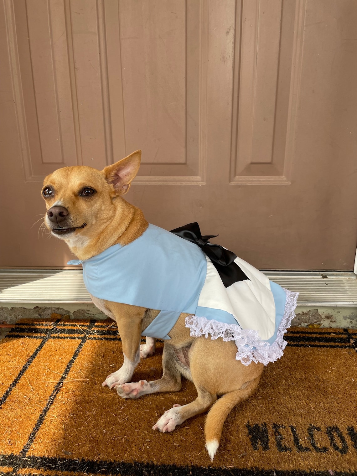 Alice in Wonderland Pet Costume Etsy