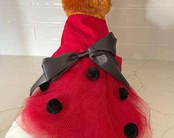 Ladybug pet costume