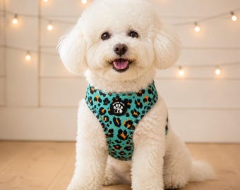 Aqua Leopard Dog Harness — Adjustable No Pull Vest, Padded Harness for Small Medium Dogs