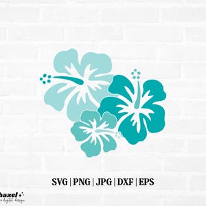 May include: Three teal blue hibiscus flowers with white centers. The flowers are arranged in a cluster, with the largest flower at the top and the smallest flower at the bottom.