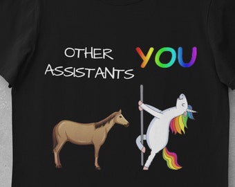 Drôle Assistant Chemise Cadeaux Pour Assistant Meilleur Assistant Jamais Assistant Cadeau Assistant Personnel Assistant Anniversaire Assistant Noël
