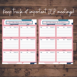 IEP At A Glance Yearly Planner (Fillable)
