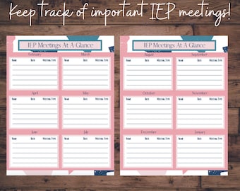 IEP At A Glance Yearly Planner (Fillable)