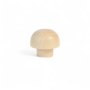De aspin van berkenhout van 6 x 4 mm