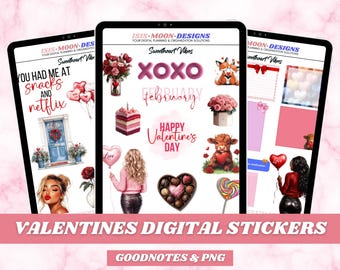 Sweetheart Vibes Digital Stickers: Valentine's Day Planner (PNG, Goodnotes)