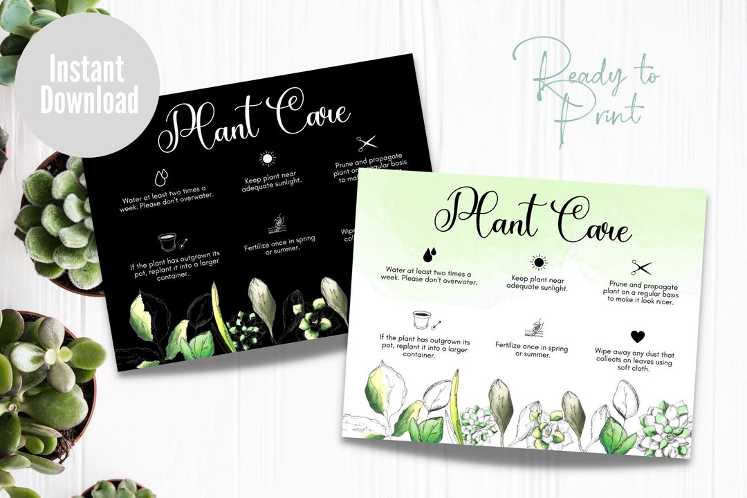 Plant Care Instructions Card, Houseplant Care Cards, Succulent Care Card, Package Insert Note