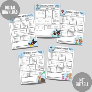 Tarjeta de informe de aseo, formulario de informe de cuidado de perros, formulario de informe de spa para mascotas, formulario de cuidado de perros listo para imprimir