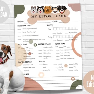 Formulaire de fiche de rapport pour animal de compagnie, Fiche de rapport pour chien à téléchargement immédiat, Fiche de garde d'animal prête à imprimer, Fiche de rapport pour promeneur de chien