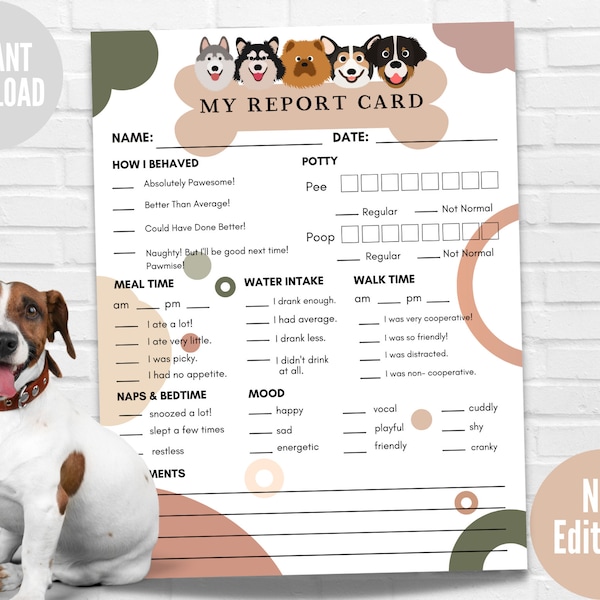 Printable Pet Report Card Form: Dog Sitter, Dog Walker (Instant Download)