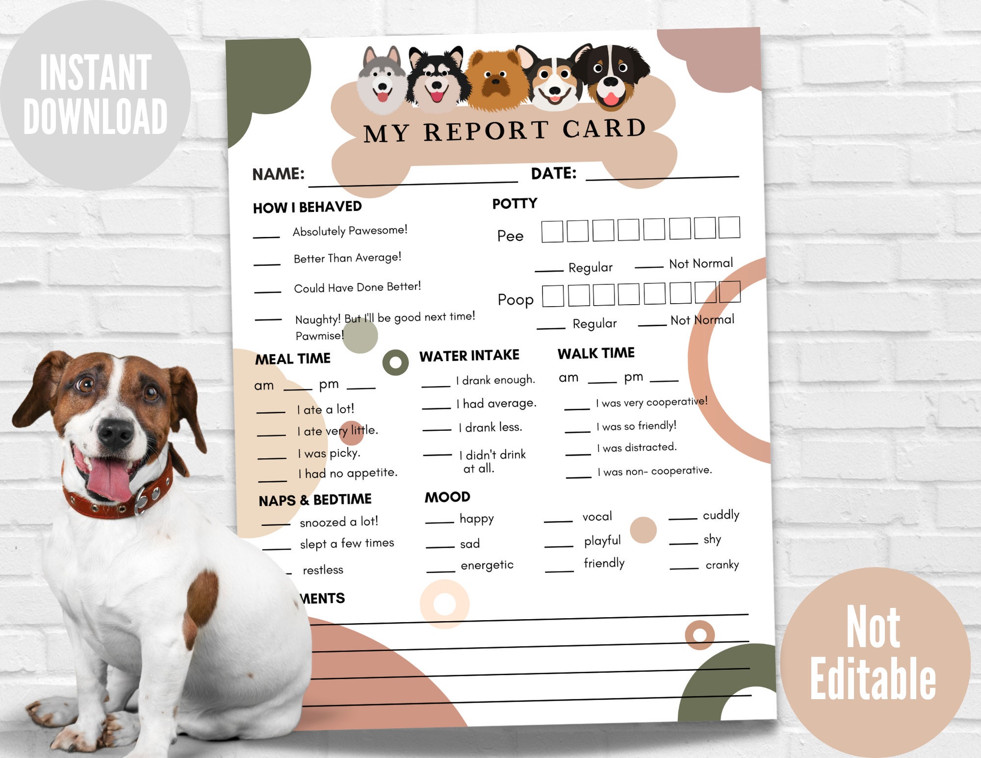 Pet Report Card Form Instant Download Dog Report Card Ready Etsy dog-report-card-template-free