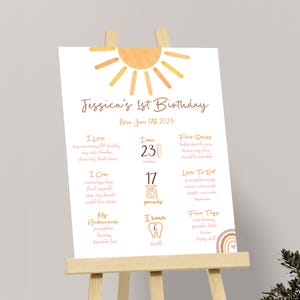 First Trip Around the Sun Milestone Poster 1st Trip Around the Sun Milestone Sign 1st Birthday Sign Decoration Decor EDITABLE Digital S06