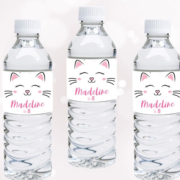 Kitty Birthday Party - Etsy