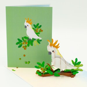 Cockatoo & Macadamia 3D Pop up Card, Pop up cards Australia, Birthday cards, Australia theme cards, Australian symbol, Greeting cards