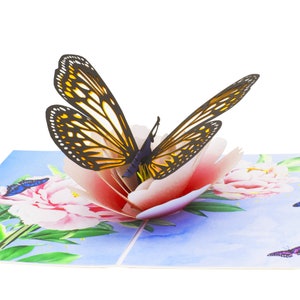 Butterfly on the Poeny 3D Pop up Card, Pop up cards Australia, Birthday Cards, Origami Card, Cards for Mother's Day