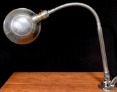 Ajusco Articulating Gooseneck Lamp