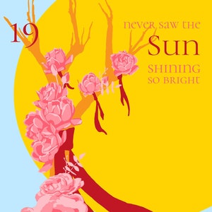 Adesivi senza bolle SUN