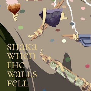 Puede incluir: Una ilustración digital de una portada de libro con el título "The Tower" en texto rojo y el subtítulo "Shaka When The Walls Fell" en texto dorado. El fondo es de color marrón y gris con líneas blancas y puntos de colores.