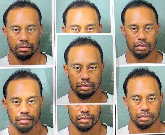Tiger Woods Mugshot Sticker - Etsy 
