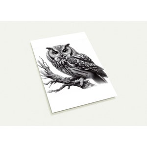 Lot de 10 cartes postales 'Chouette'