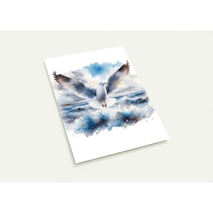 Lot de 10 cartes postales 'Mouette'