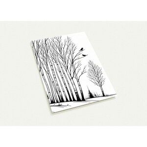 Lot de 10 cartes postales 'Forêt de bouleaux'